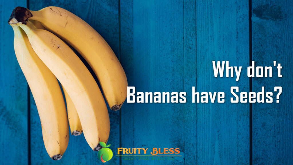 Why don't Bananas have Seeds?